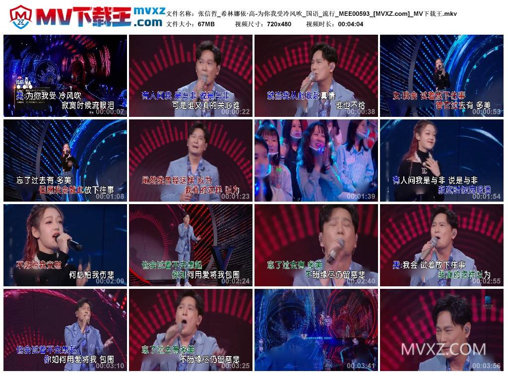 张信哲_希林娜依·高-为你我受冷风吹_国语_流行_MEE00593